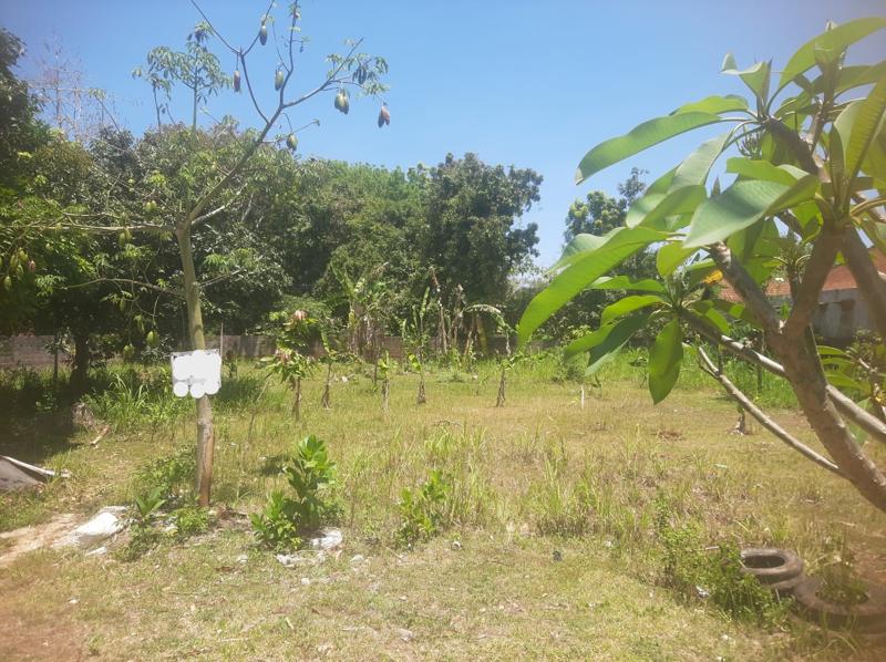 Tanah Di Sewakan Di Jimbaran Denpasar Bali